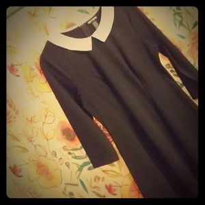 Hot Topic Wednesday Adams dress xl